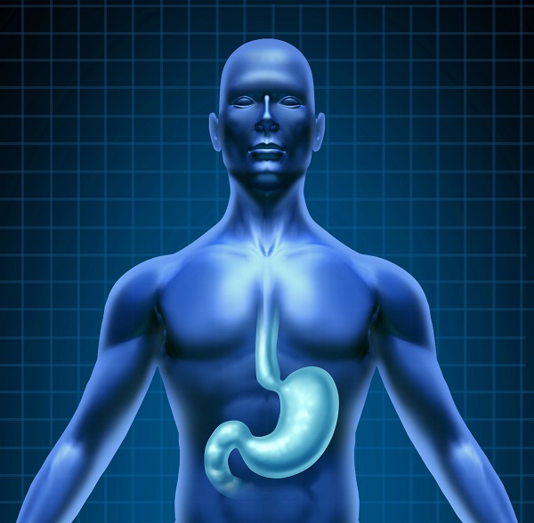 Metabolic & Weight Management Peptides