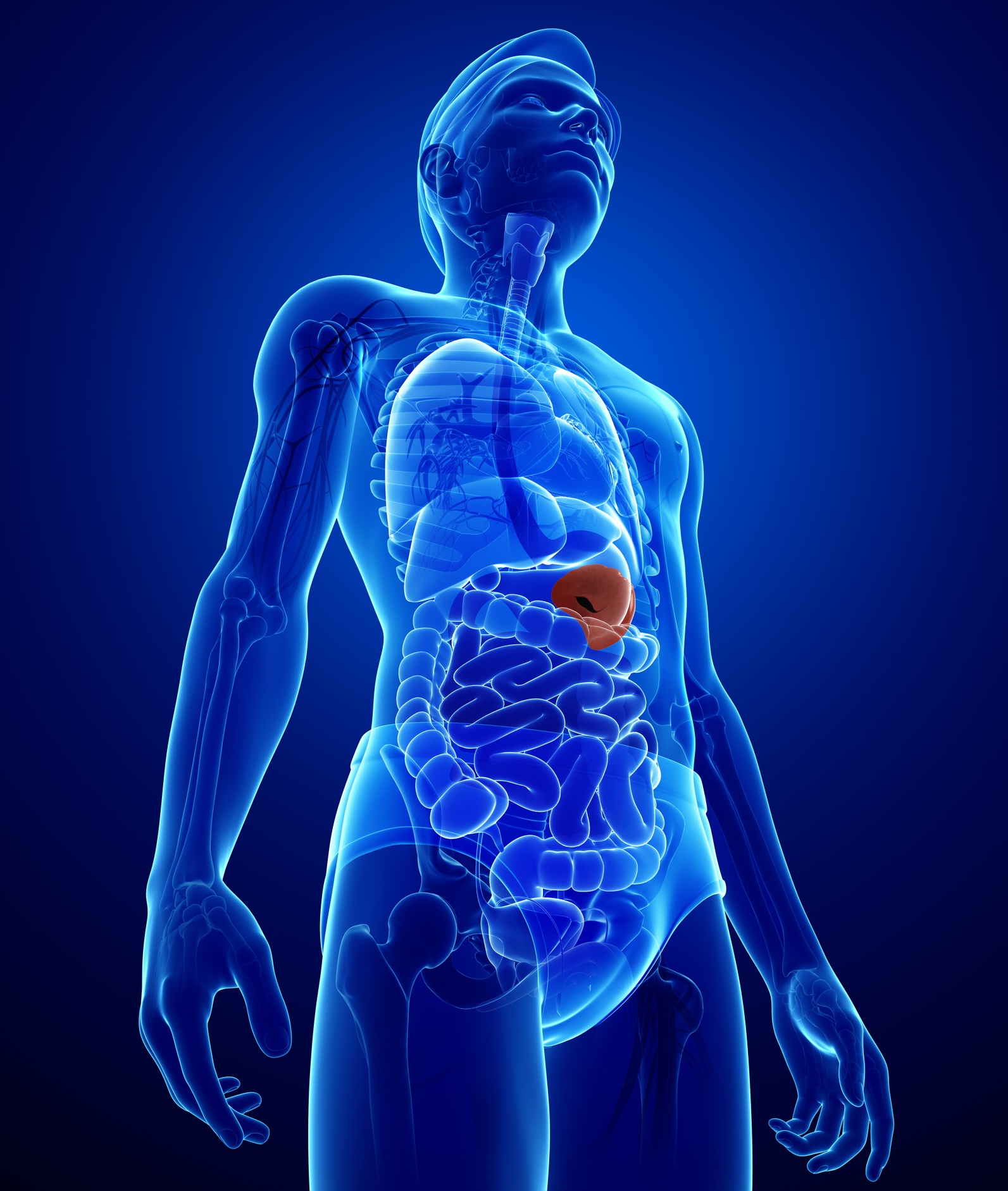 GLP-1, Dual, and Triple Agonist Peptides: Semaglutide, Tirzepatide, and Retatrutide in Research