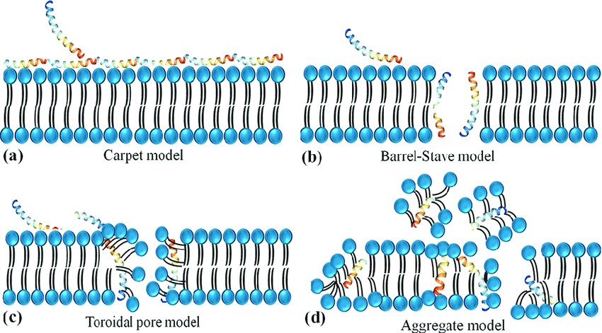 image | | | BioGenix Peptides™