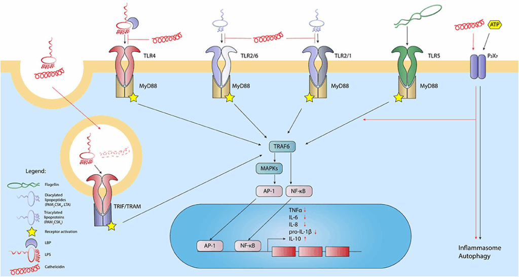 image | | | BioGenix Peptides™