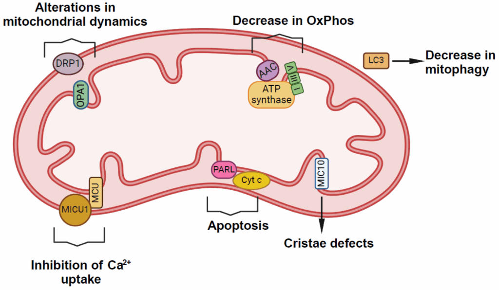 image | | | BioGenix Peptides™