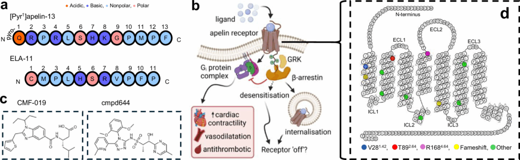 image | | | BioGenix Peptides™