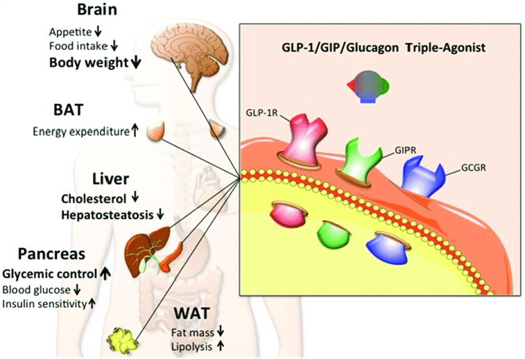 image | | | BioGenix Peptides™