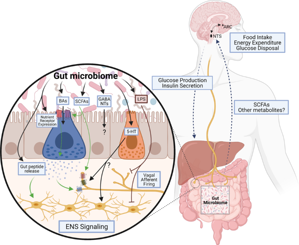 image | | | BioGenix Peptides™