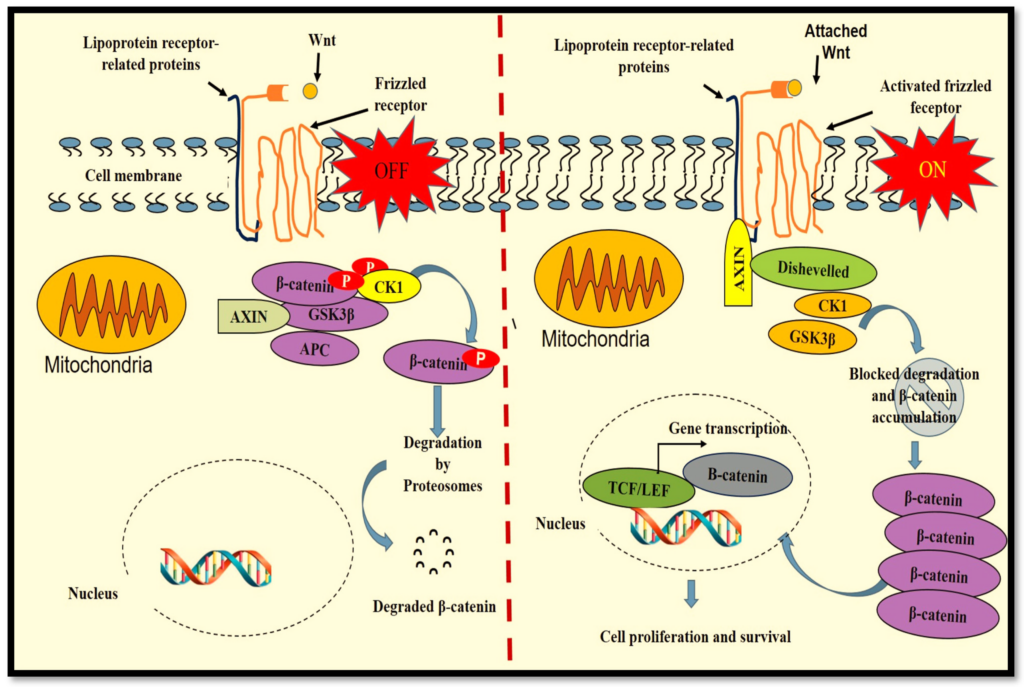 image | | | BioGenix Peptides™