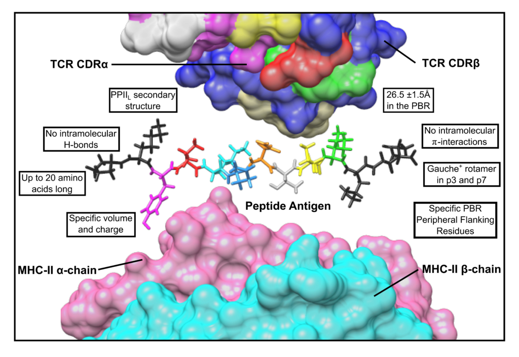 image | | | BioGenix Peptides™
