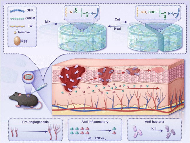 image | | | BioGenix Peptides™