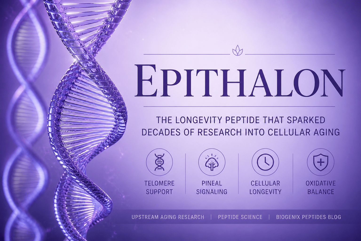 Epithalon (Epitalon): The Longevity Peptide That Sparked Decades of Research Into Cellular Aging